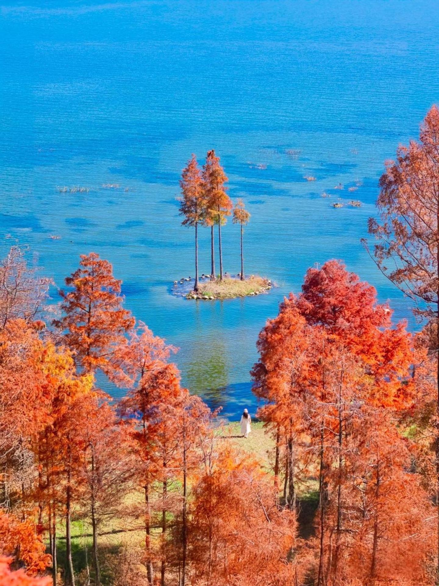 Dali Nest Secret Garden Lake View Inn Εξωτερικό φωτογραφία